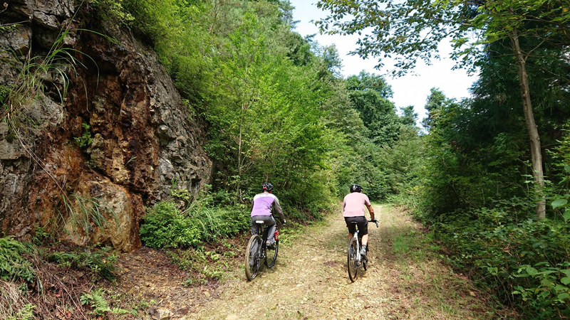 グラベルコースのエスコート