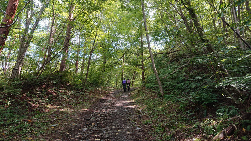 グラベルコースのエスコート