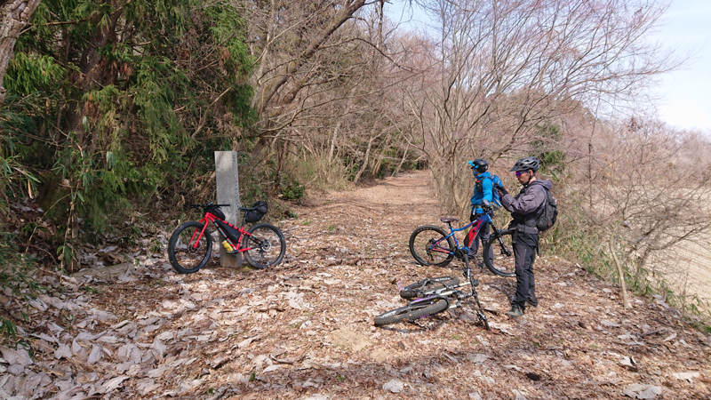 グラベルコースのエスコート