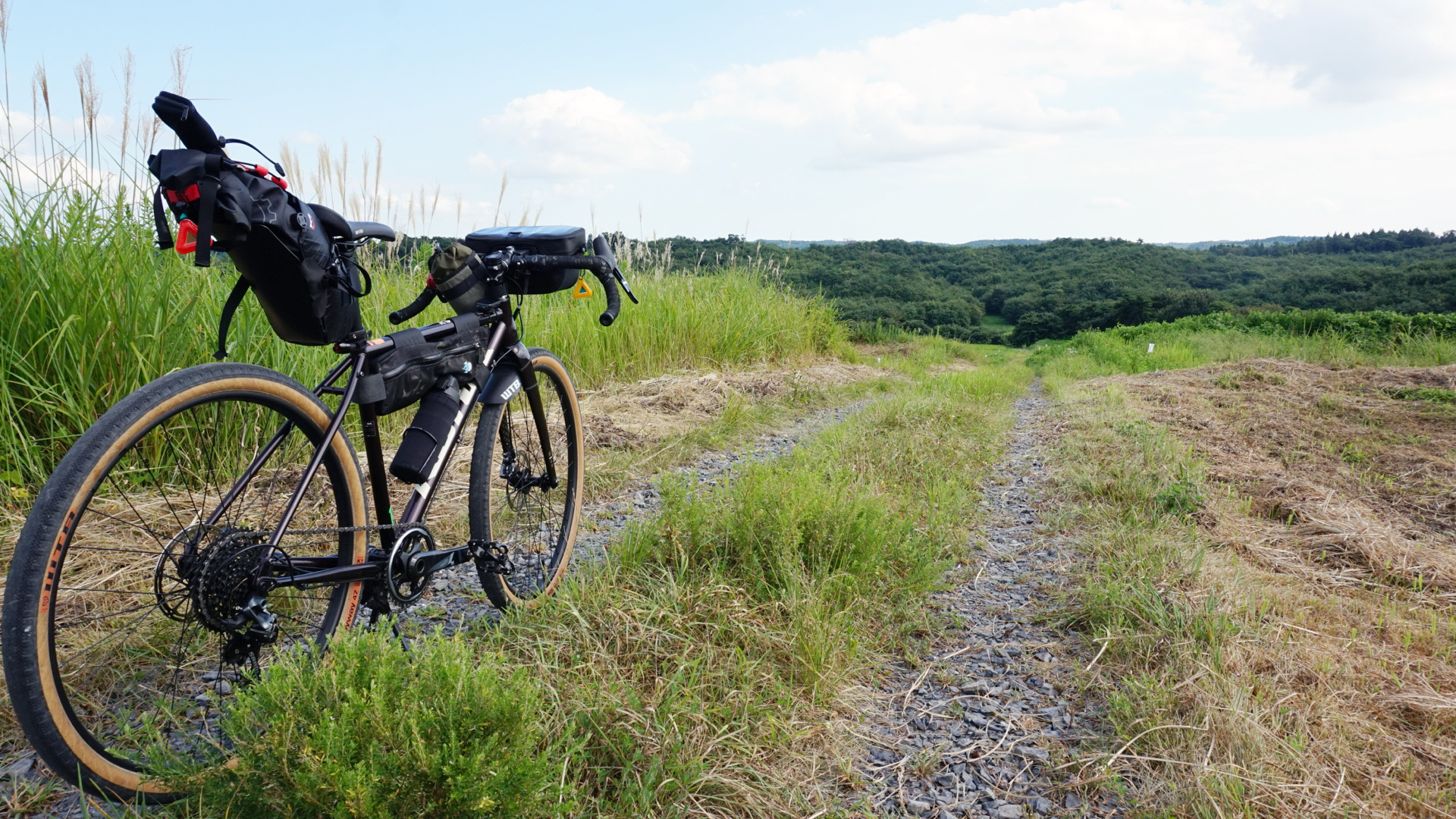 農村サイクリング「秋の伊豆沼・内沼一周」